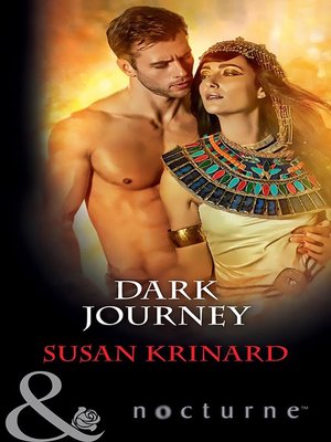 cover image of Dark Journey